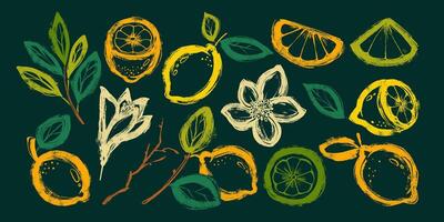 Set of Hand Drawn Delicious Lemons. Colorful grunge abstract lemon collection with bold outline and texture. Clipart juicy food in doodle style vector