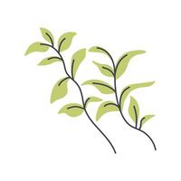 Simple illustration of light green plant. Perfect for creating minimalist and modern plant designs vector