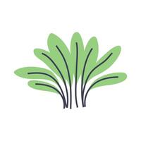 Cute illustration of green plant. Perfect for creating minimalist and modern plant designs vector