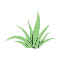 Simple illustration of green succulent plant. Perfect for creating minimalist plant designs vector