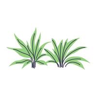 Simple illustration of succulent plant. Perfect for creating minimalist and modern plant designs vector