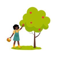 Young girl picking apples from a tree in a sunny orchard during autumn vector