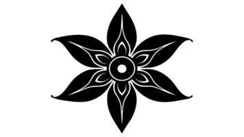 Elegant Floral Ornament with Underline Design for Creative Project vector