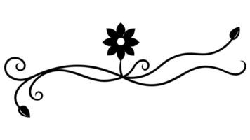 Elegant Floral Ornament with Underline for Design and Decoration vector