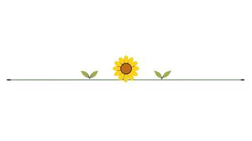 Stylish Flower Ornament with Underline for Design vector