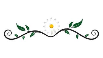 Decorative Floral Frame Underline Creative Projects vector