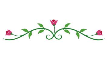 Classic Flower Ornament with Underline Graphic Projects vector