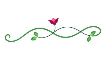 Classic Flower Ornament with Underline for Graphic Project vector