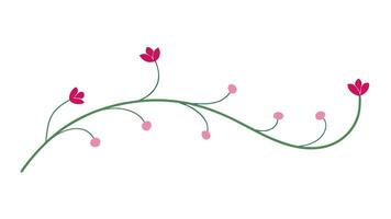 Floral Ornament with Underline for Design and Decoration vector