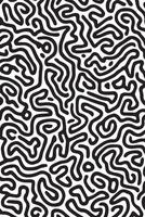 Abstract Black and White Maze Pattern - Modern Fluid Line Art Design vector