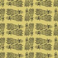 Pattern, Seamless background illustration of organic farm fresh vegetables, asparagus. Contour thin line in doodle style. Black line, green background vector