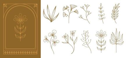 Set of boho simple geometric branch and flowers. Botanic design elements in wavy and vintage style. illustration. vector
