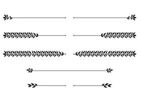 Hand drawn nature floral vine line divider for text layout separator decoration element collection. vector