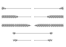 Nature floral vine line divider for text layout separator decoration hand drawn element collection. vector