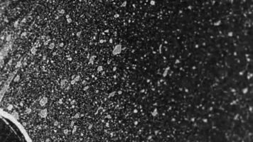 An Abstract Black and White Texture Featuring Intriguing Speckles and Patterns for Artistry video