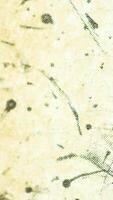 This artwork features an Abstract Texture of Black Marks on a vibrant Yellow Background video