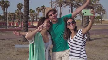 Group of friends taking selfie happy laughing in the beach in summer. video
