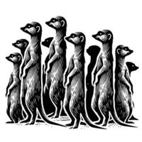 A group of meerkats standing in a line vector
