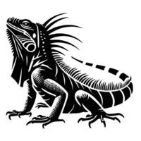 An iguana is standing on its hind legs and has long hair vector