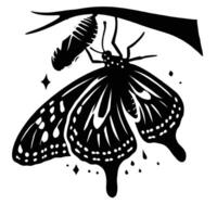 Butterfly life cycle butterfly life cycle butterfly life cycle butterfly life cycle butterfly vector