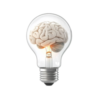 A Human Brain Inside A Glowing Lightbulb Isolated on Transparent Background png
