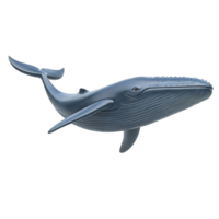 A three dimensional model of a blue whale swimming. Isolated on Transparent Background png