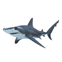 A Three Dimensional Render of a Hammerhead Shark Isolated on Transparent Background png
