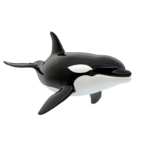 A sleek three dimensional model of a killer whale Isolated on Transparent Background png