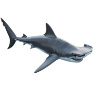 Great Hammerhead Shark Swimming In The Ocean Depths Isolated on Transparent Background png