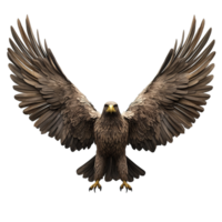 Majestic Eagle Soaring With Wings Fully Extended Isolated on Transparent Background png