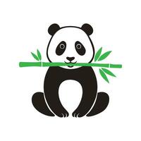 Panda bear holding bamboo branch on white background vector