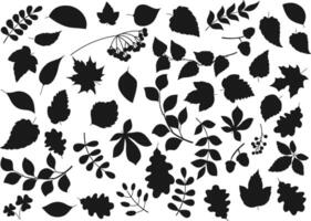 A collection of leaves and branches in black and white vector