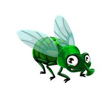 Cartoon funny green fly insect character with face vector