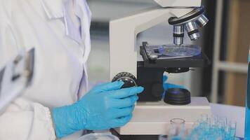 A person in a lab coat is looking at a microscope video