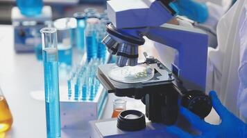 A person in a lab coat is looking at a microscope video
