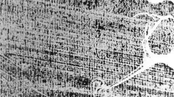 Abstract Texture of Lines and Intricate Patterns for Unique Artistic Impressions video