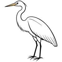 Elegant Heron Illustration vector