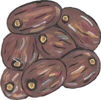 a drawing of a bunch of dates watercolor vector