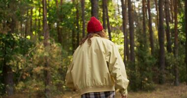 A man in a red hat and plaid jacket walking through a forest video