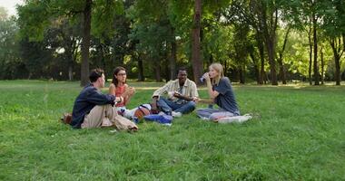 Four people sitting in the grass in a park video