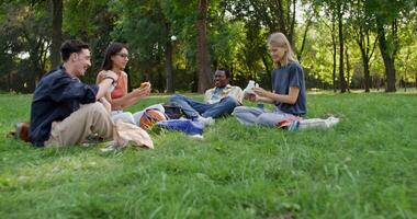Four young people sitting on the grass in a park video