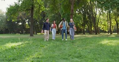 Four people walking in a park with trees video