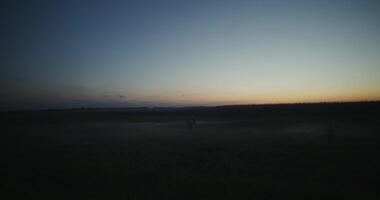 A person standing in a field at dusk video