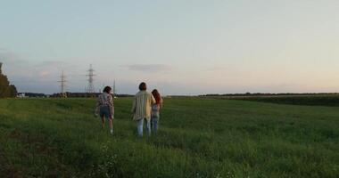 Three people walking in a field with a power line video