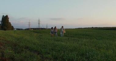 Two people walking in a field with power lines video