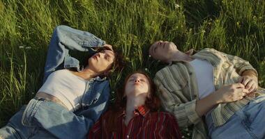 Three people laying in a field of grass video