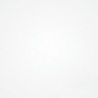 Background White Absrtract geometry for banner vector