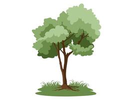 Tree and roots with green leaves for simple designs. vector