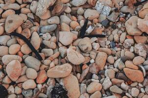 Natural Pebble Beach with Mixed Stones and Debris Textured Coastal Surface with Rocks, Shells, photo