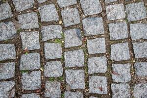 A cobblestone path with grass and stones photo